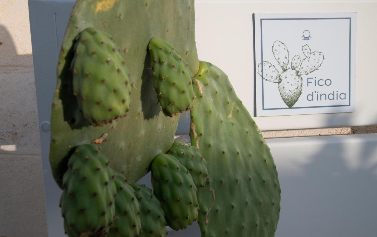 Livantea Agriresort E Residence Otranto Eksteriør billede